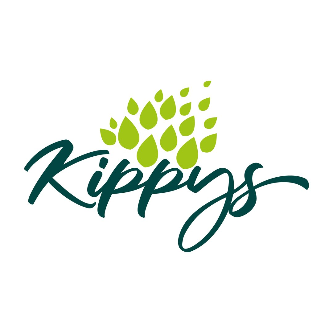Kippys